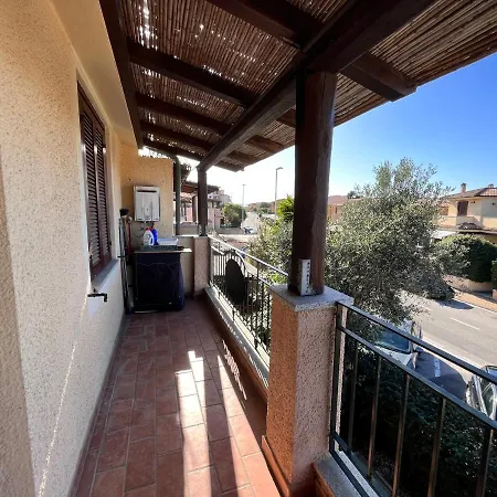 Marina Butterfly 올비아