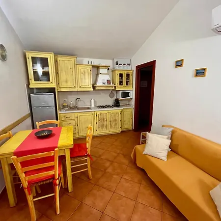 Marina Butterfly 올비아