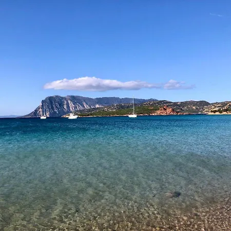 Apartment Marina Butterfly *