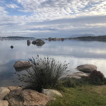 Apartment Marina Butterfly *