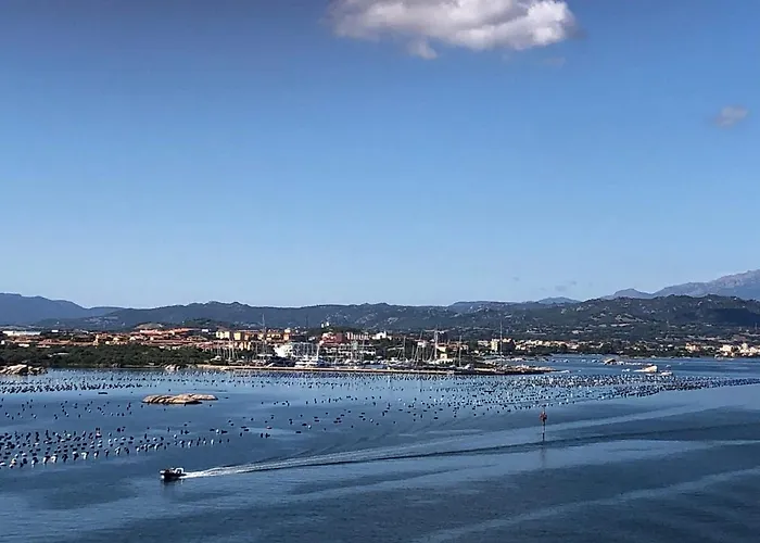 Daire Marina Butterfly Olbia