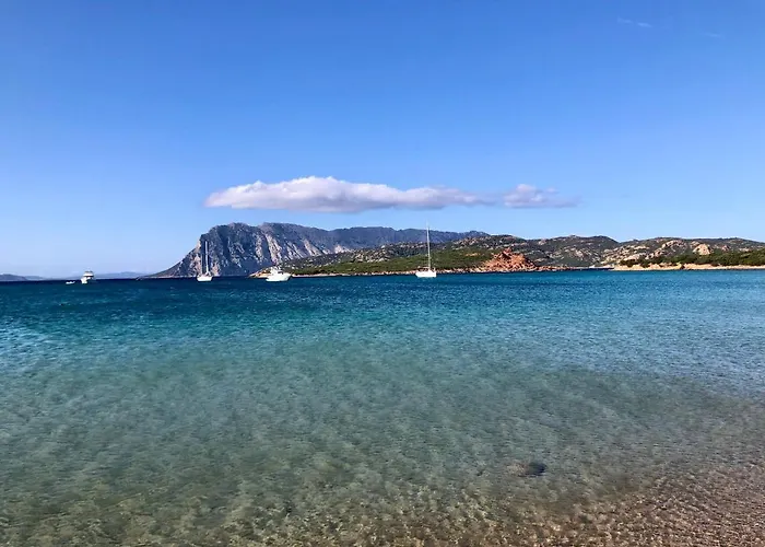 Daire Marina Butterfly *