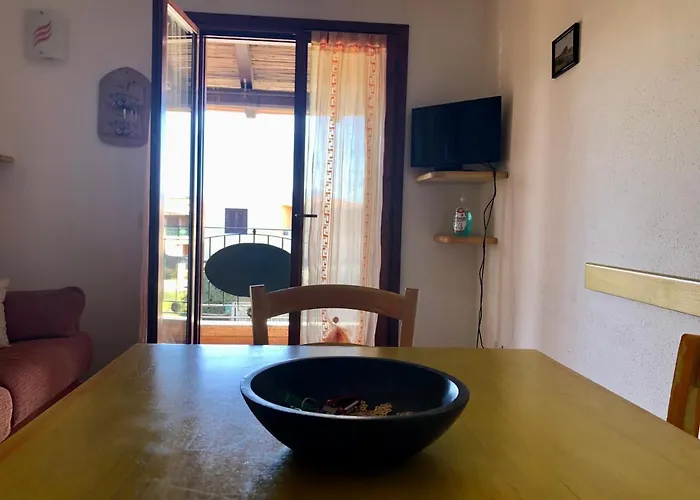 Daire Marina Butterfly *