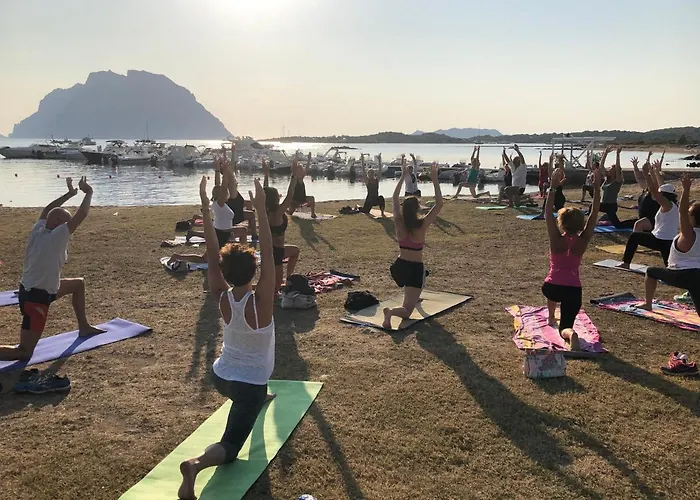 Daire Marina Butterfly Olbia